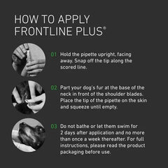FRONTLINE Plus Flea & Tick Treatment for Large Dogs 20–40kg | 6 Pipettes