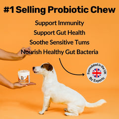NutriPaw Pre, Pro and Postbiotic Supplement Treats For Dogs 120 Pack 300g