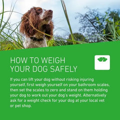 FRONTLINE Plus Flea & Tick Treatment for Large Dogs 20–40kg | 6 Pipettes