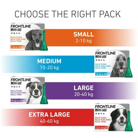 FRONTLINE Plus Flea & Tick Treatment for Large Dogs 20–40kg | 6 Pipettes