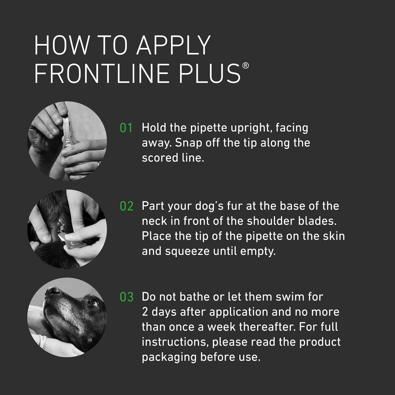 FRONTLINE Plus Flea & Tick Treatment for Medium Dogs 10–20kg | 6 Pipettes