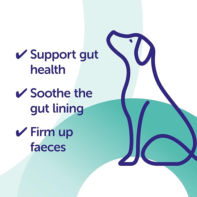 Protexin Veterinary Pro-Kolin Advanced Paste for Dogs 60ml | Digestive Support Supplement