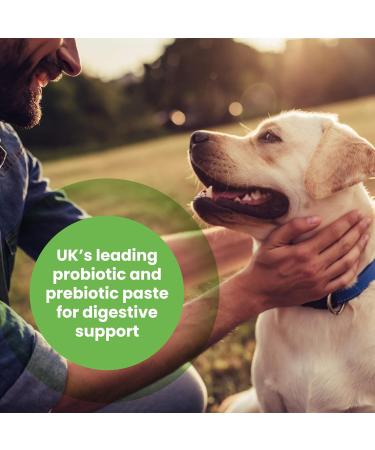Protexin Pro-Kolin Paste for Dogs & Cats 60ml | Digestive Support & Probiotic Supplement