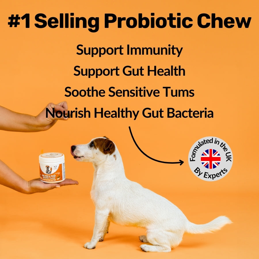 NutriPaw Pre, Pro and Postbiotic Supplement Treats For Dogs 120 Pack 300g