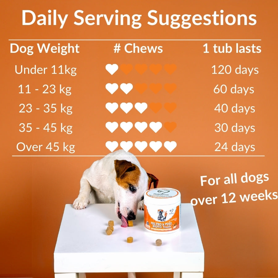 NutriPaw Pre, Pro and Postbiotic Supplement Treats For Dogs 120 Pack 300g