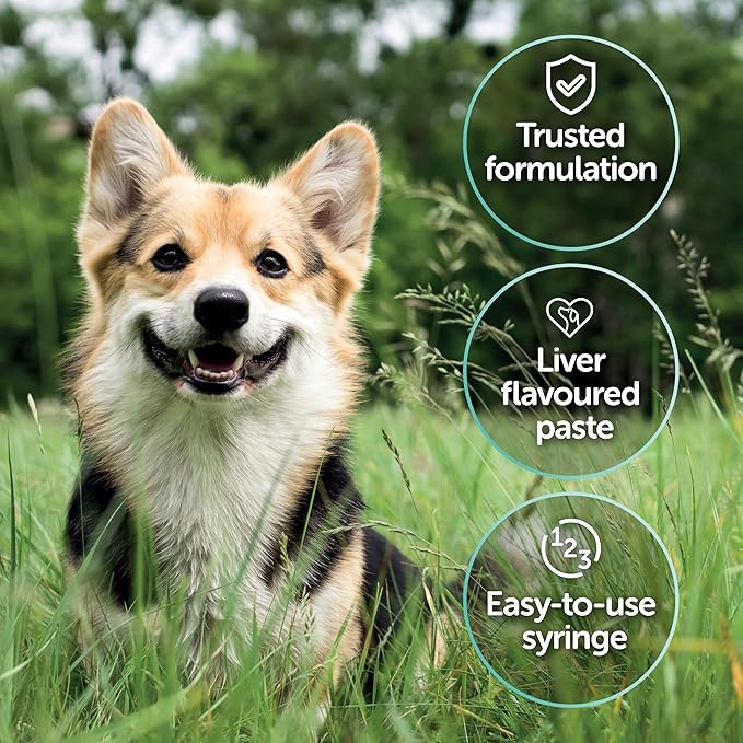 Protexin Veterinary Pro-Kolin Advanced Paste for Dogs 60ml | Digestive Support Supplement