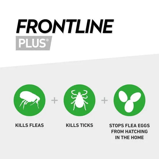 FRONTLINE Plus Flea & Tick Treatment for Large Dogs 20–40kg | 6 Pipettes