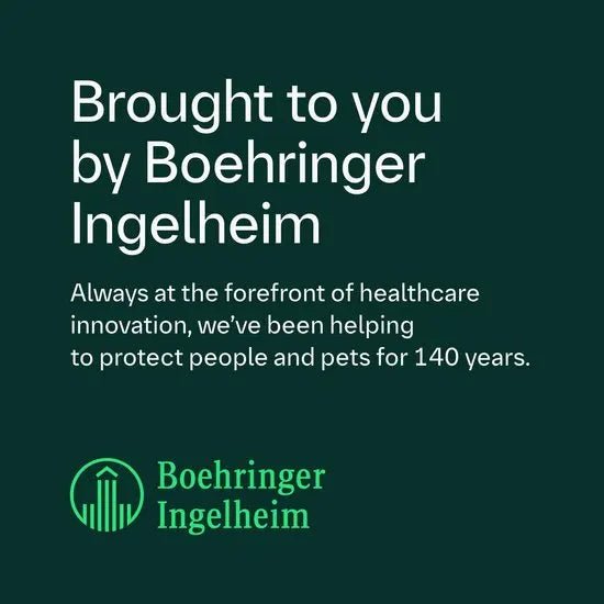 FRONTLINE Plus Flea & Tick Treatment for Large Dogs 20–40kg | 6 Pipettes fragrance