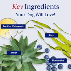PetLab Co. Probiotic Dog Chews | Digestive & Gut Health Support 30 Soft Chews fragrance
