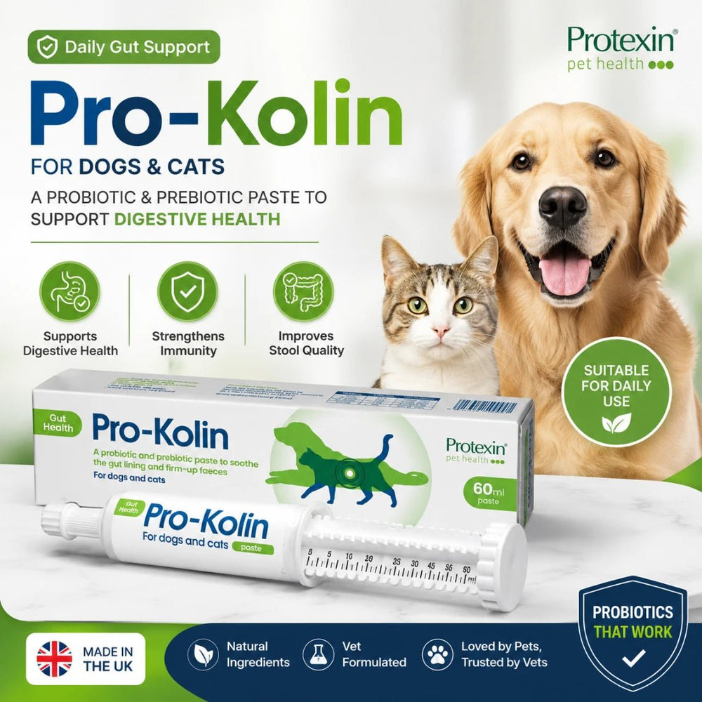 Protexin Pro-Kolin Paste for Dogs & Cats 60ml | Digestive Support & Probiotic Supplement fragrance